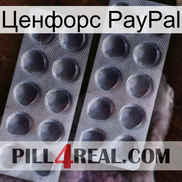 Ценфорс PayPal 31.jpg